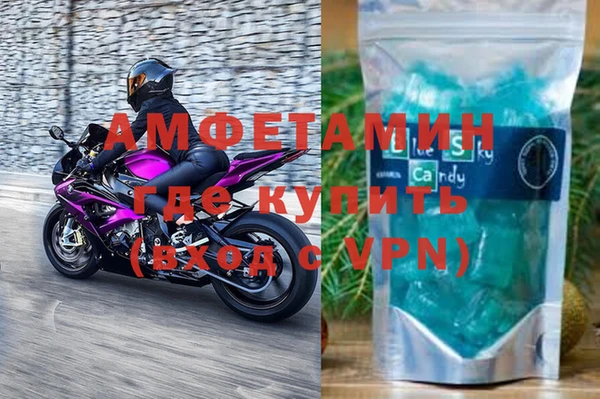 хмурый Белокуриха